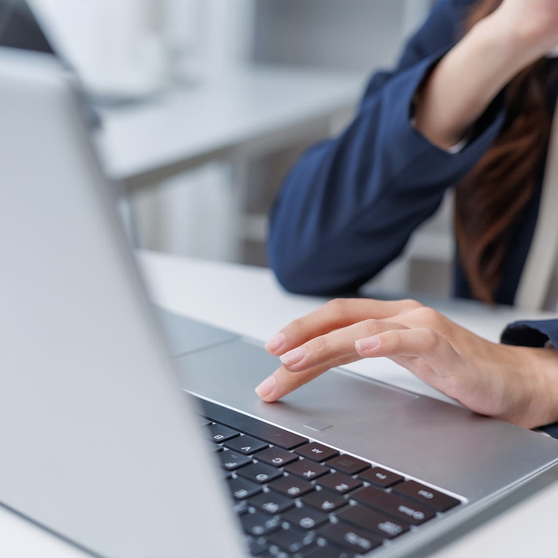 Landlord Guide & Fee's