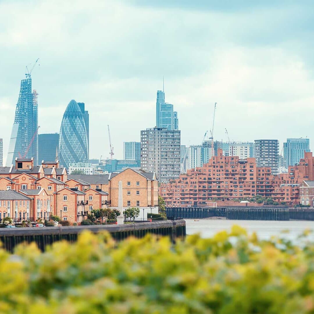 Development & Investments